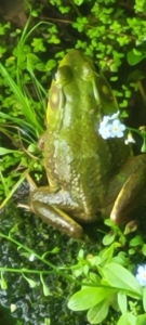 20250623_065058